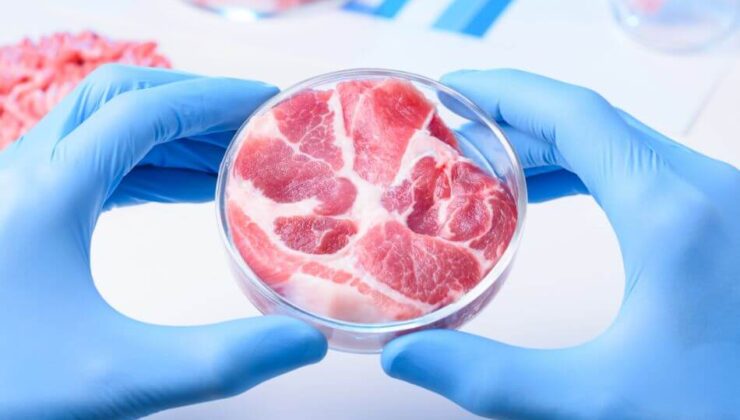 What is cultured meat?