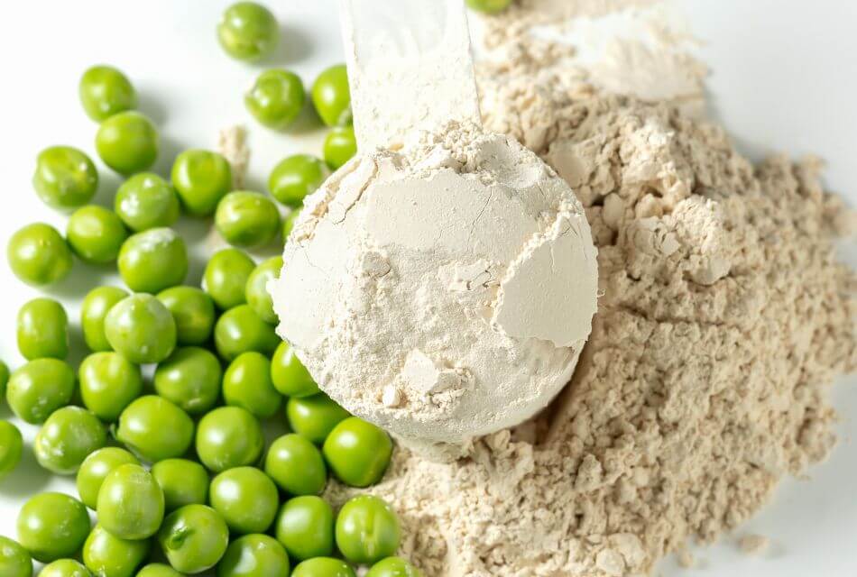 vegetable pea protein revolutionizes the food Industry