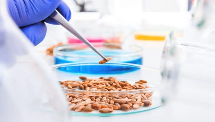 Desarrollo de nuevas líneas de alimentos con ingredientes funcionales