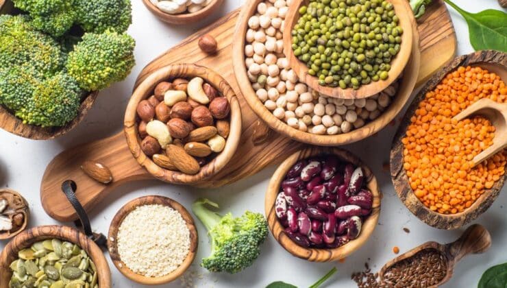 Plant-based protein foods: do they have the necessary nutrients?