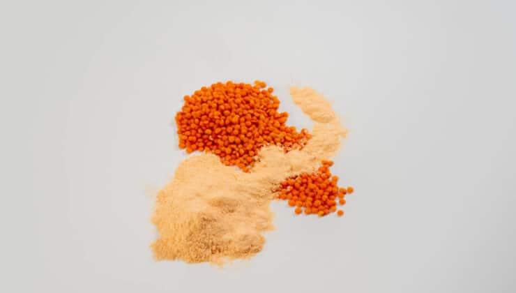 What is starch gelatinisation?