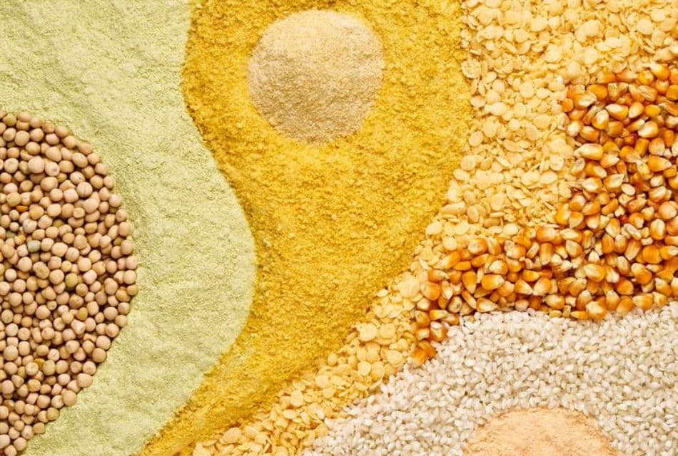 At Molendum, innovation is our main ingredient