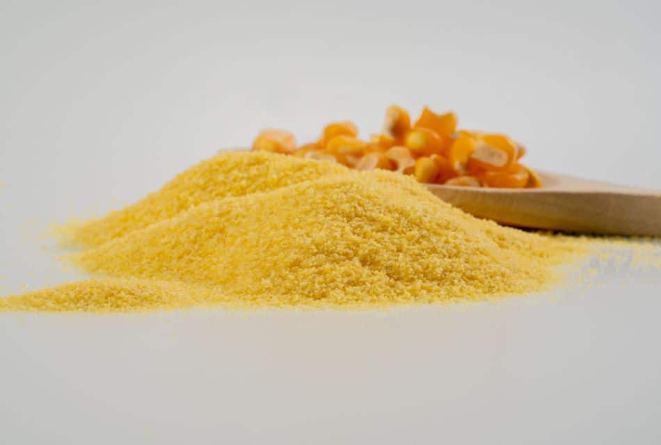 Soluciones Molendum en productos del mar: innovación, sabor y salud 1