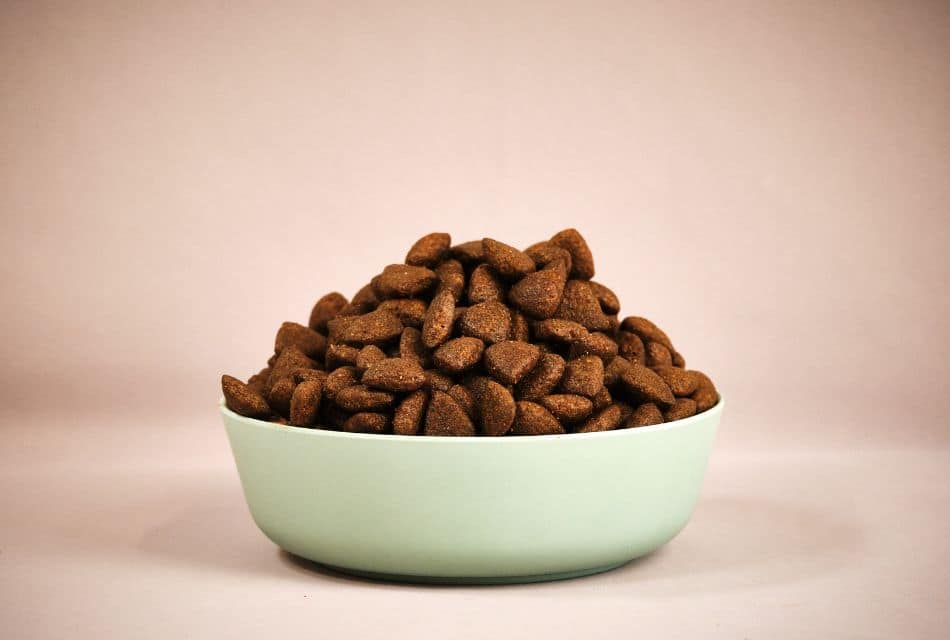 Ingredientes innovadores para Pet Food: elevando la nutrición de tus mascotas