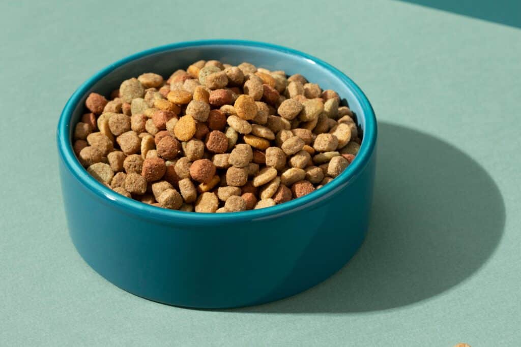 El valor de las harinas pregelatinizadas en el sector Pet Food: funcionalidad, eficiencia y calidad