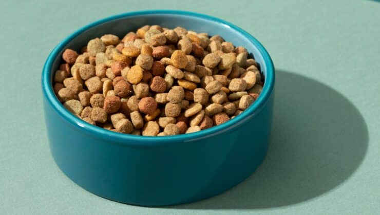 The value of pre-gelatinised flours in the pet food sector: functionality, efficiency and quality
