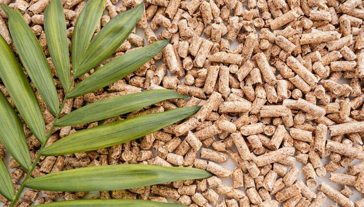 Pregelatinised flours: beyond food, a technical solution for industry